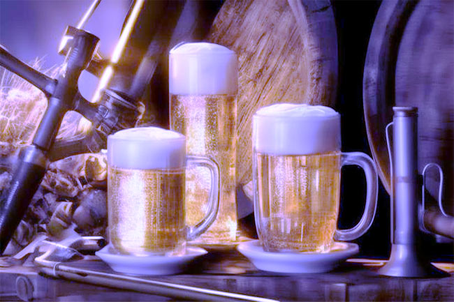 Microporous membrane pleated filter element in beer filtration industry