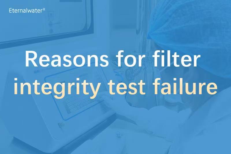 Reasons for filter integrity test failure