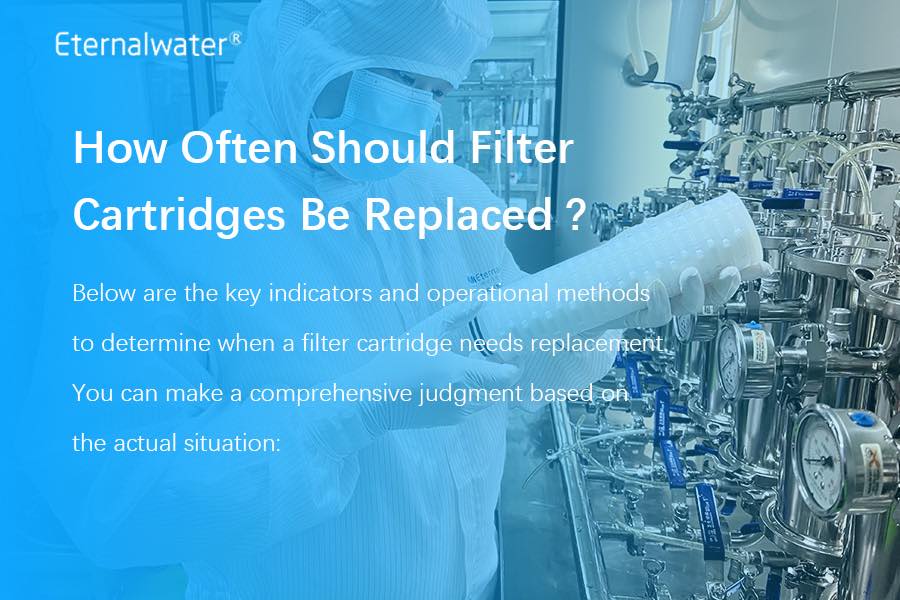 How Often Should Filter Cartridges Be Replaced?