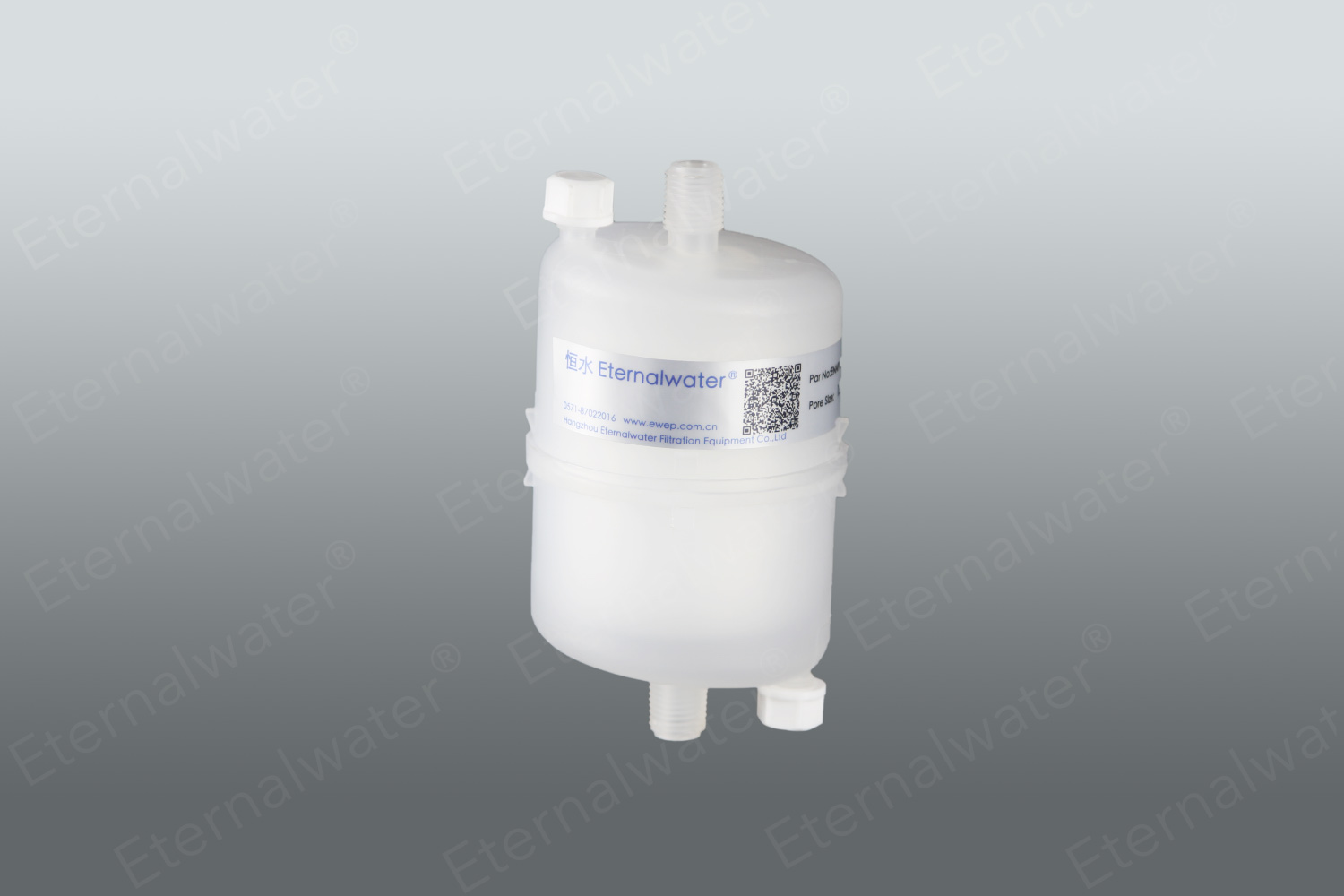 HB capsule filter