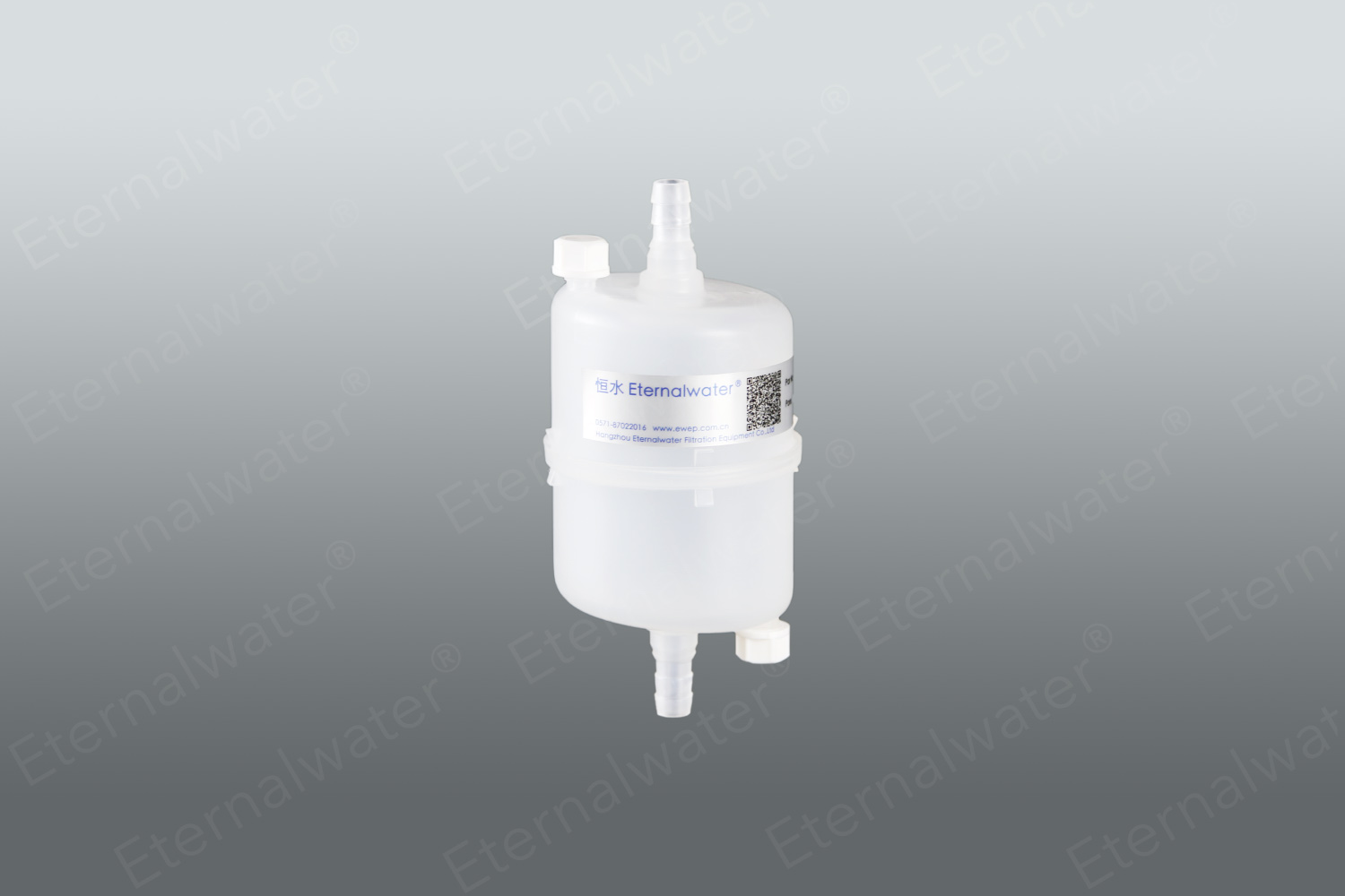 HB capsule filter